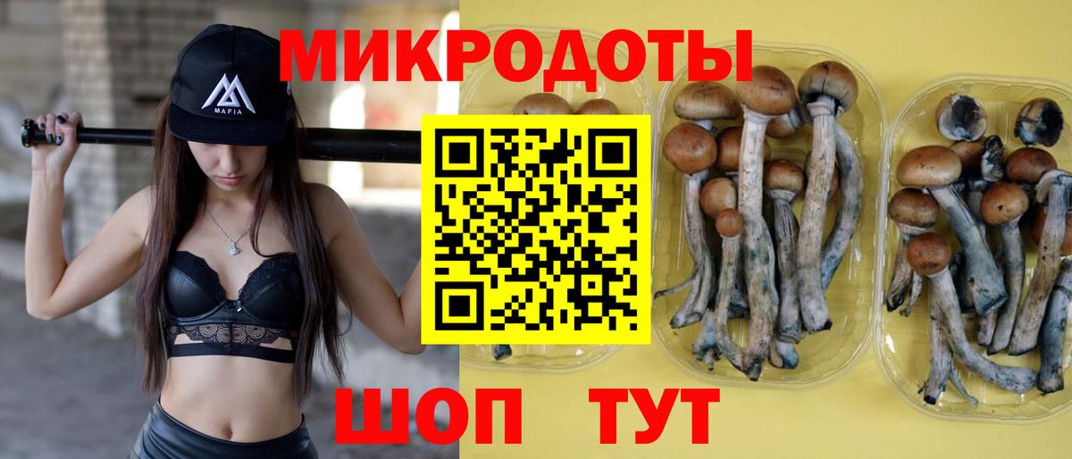 Галлюциногенные грибы Cubensis Сатка